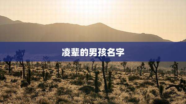 凌辈的男孩名字
