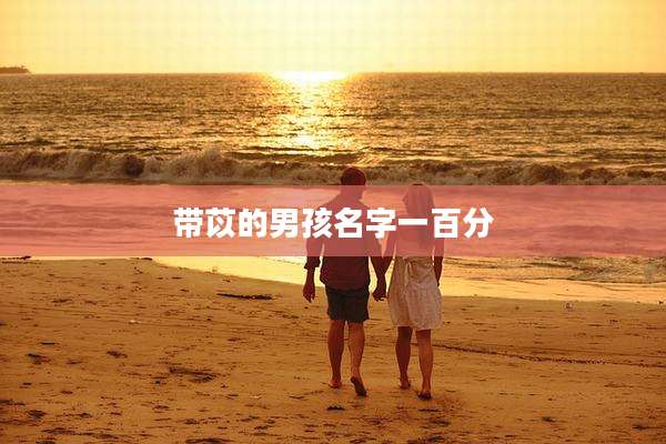 带苡的男孩名字一百分