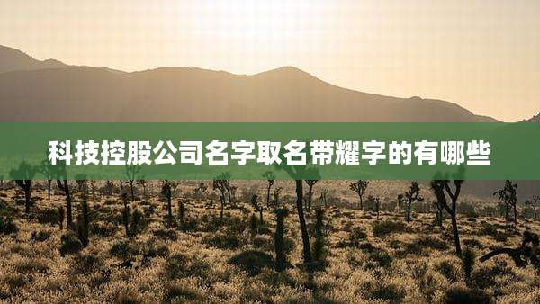 科技控股公司名字取名带耀字的有哪些