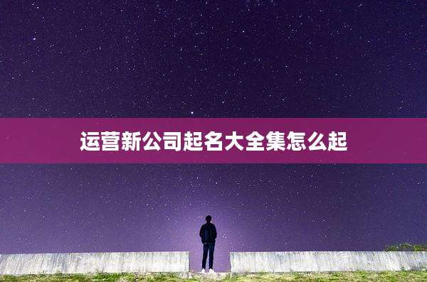 运营新公司起名大全集怎么起
