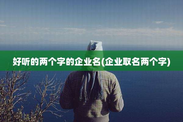 好听的两个字的企业名(企业取名两个字)