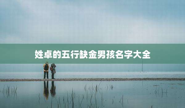 姓卓的五行缺金男孩名字大全