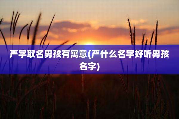 严字取名男孩有寓意(严什么名字好听男孩名字)
