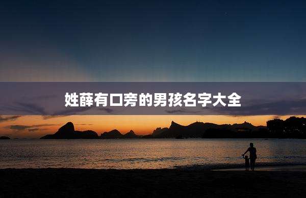 姓薛有口旁的男孩名字大全
