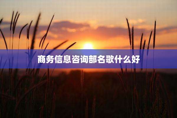 商务信息咨询部名歌什么好