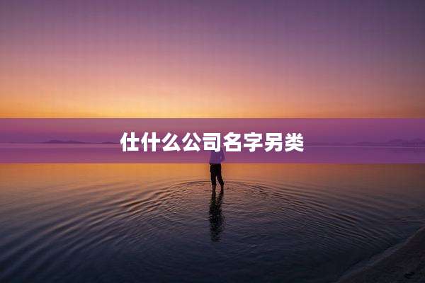 仕什么公司名字另类