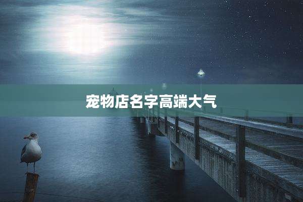 宠物店名字高端大气