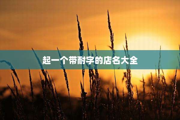 起一个带耐字的店名大全