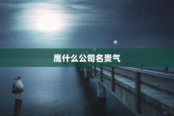 鹰什么公司名贵气