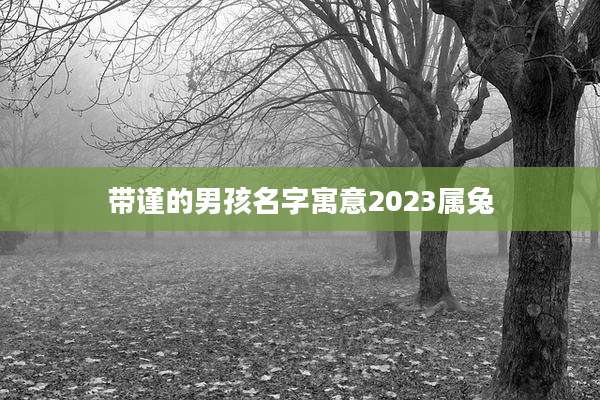 带谨的男孩名字寓意2023属兔
