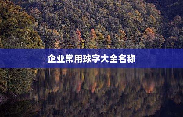 企业常用球字大全名称