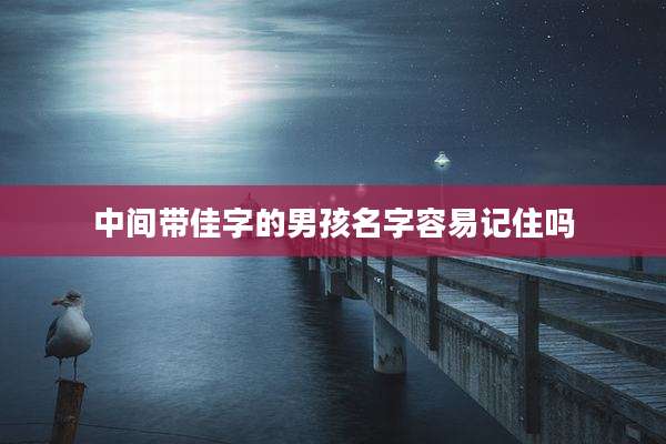 中间带佳字的男孩名字容易记住吗