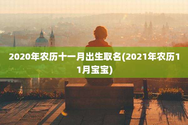 2020年农历十一月出生取名(2021年农历11月宝宝)