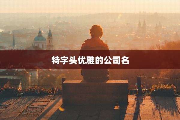 特字头优雅的公司名