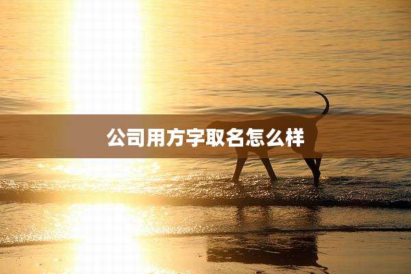 公司用方字取名怎么样