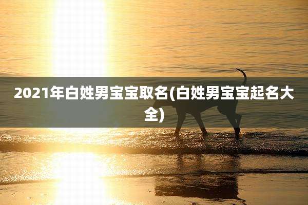 2021年白姓男宝宝取名(白姓男宝宝起名大全)