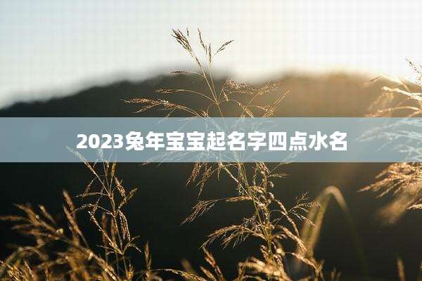 2023兔年宝宝起名字四点水名