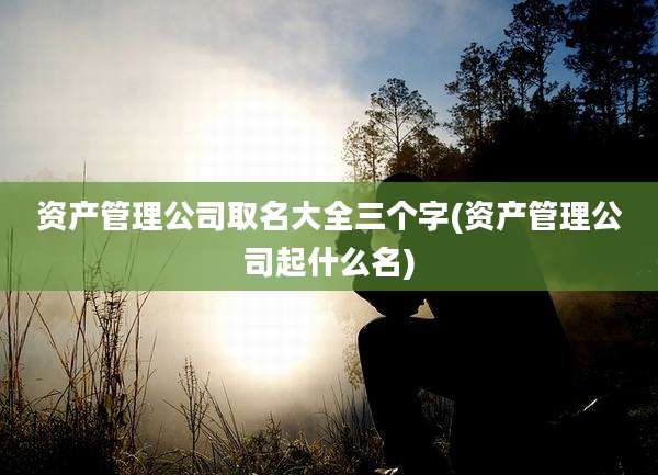 资产管理公司取名大全三个字(资产管理公司起什么名)