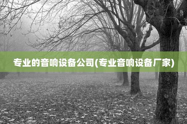专业的音响设备公司(专业音响设备厂家)
