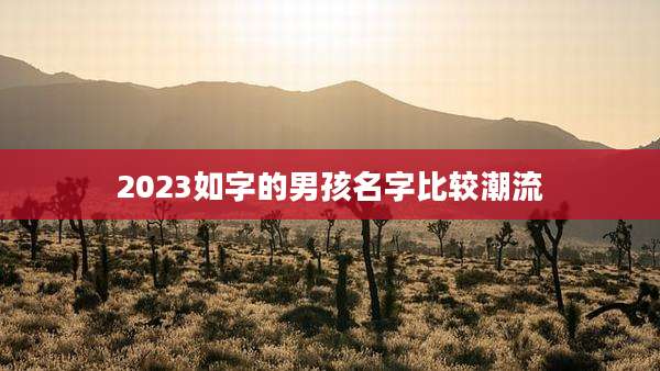 2023如字的男孩名字比较潮流