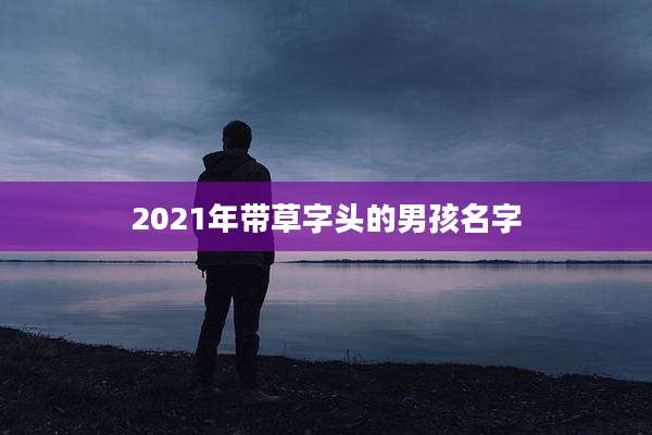 2021年带草字头的男孩名字