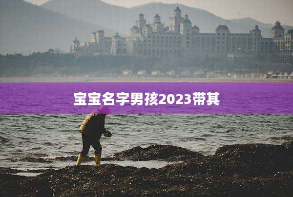宝宝名字男孩2023带其