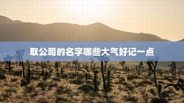 取公司的名字哪些大气好记一点