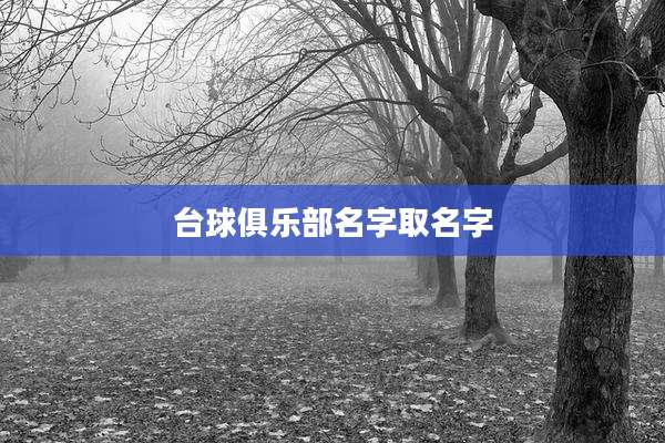 台球俱乐部名字取名字