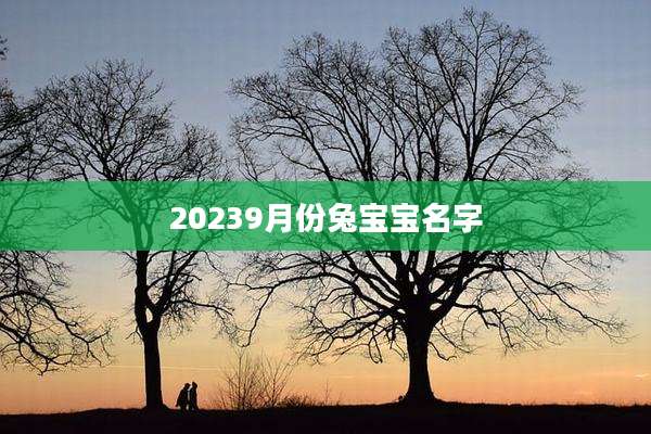 20239月份兔宝宝名字