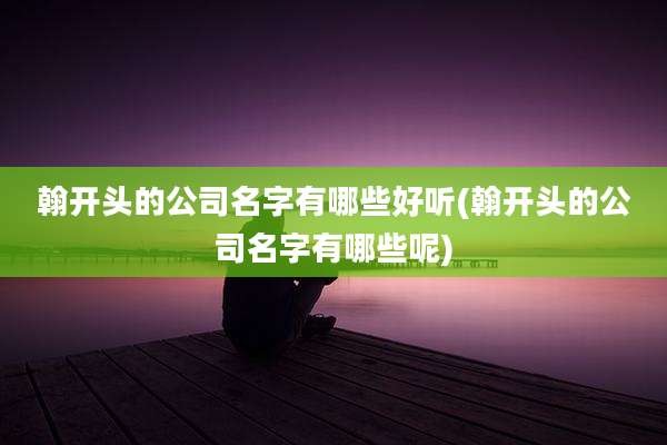 翰开头的公司名字有哪些好听(翰开头的公司名字有哪些呢)