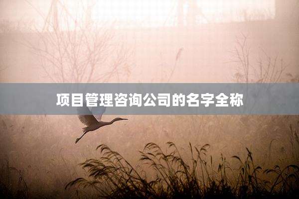 项目管理咨询公司的名字全称