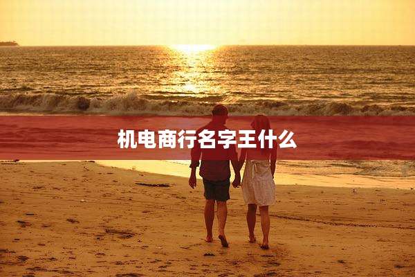 机电商行名字王什么