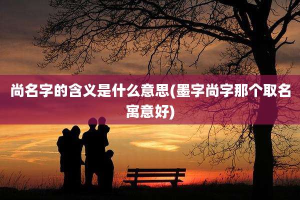 尚名字的含义是什么意思(墨字尚字那个取名寓意好)