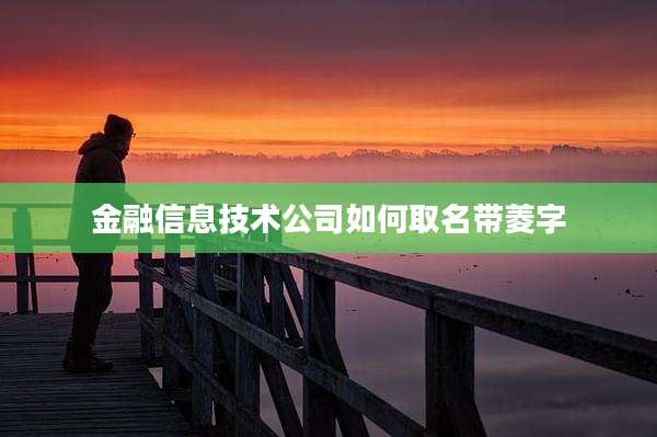 金融信息技术公司如何取名带菱字