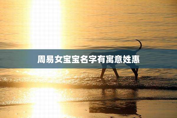 周易女宝宝名字有寓意姓惠