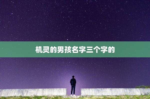 机灵的男孩名字三个字的