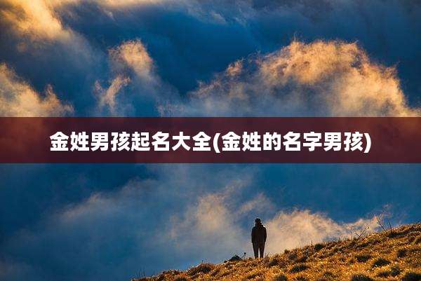 金姓男孩起名大全(金姓的名字男孩)
