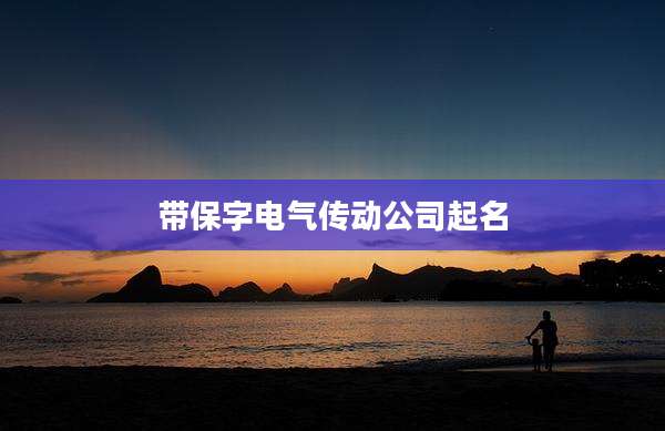 带保字电气传动公司起名