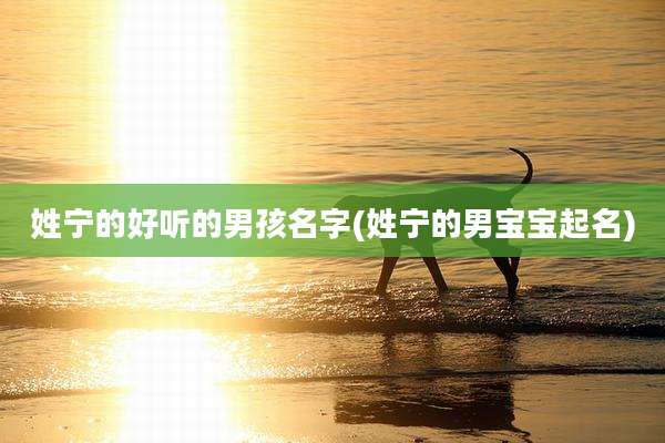姓宁的好听的男孩名字(姓宁的男宝宝起名)