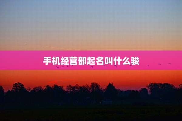 手机经营部起名叫什么骏