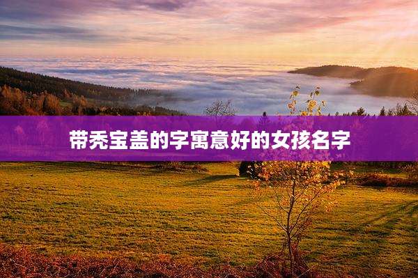 带秃宝盖的字寓意好的女孩名字