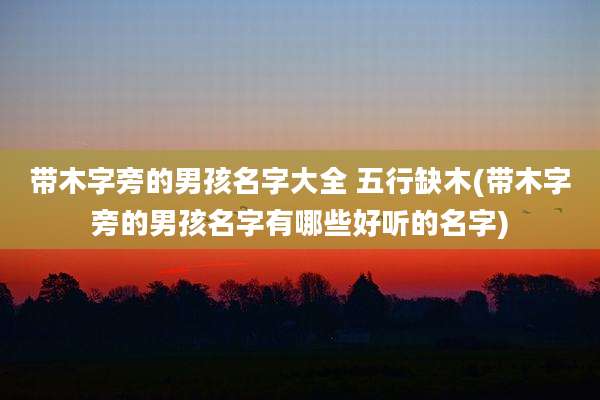 带木字旁的男孩名字大全 五行缺木(带木字旁的男孩名字有哪些好听的名字)