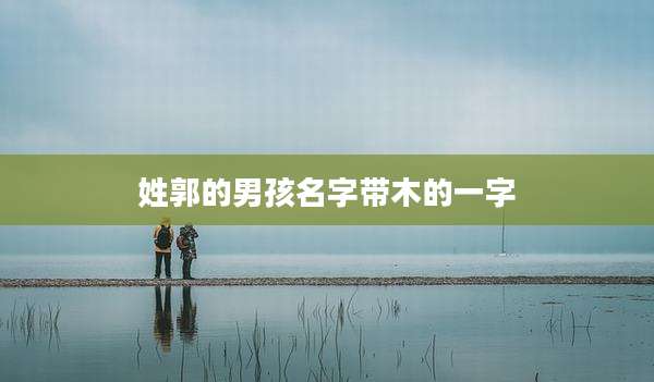 姓郭的男孩名字带木的一字