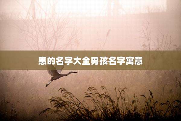 惠的名字大全男孩名字寓意