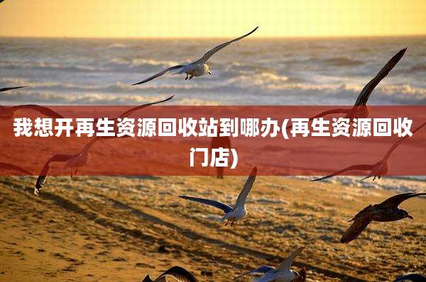 我想开再生资源回收站到哪办(再生资源回收门店)