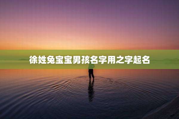 徐姓兔宝宝男孩名字用之字起名