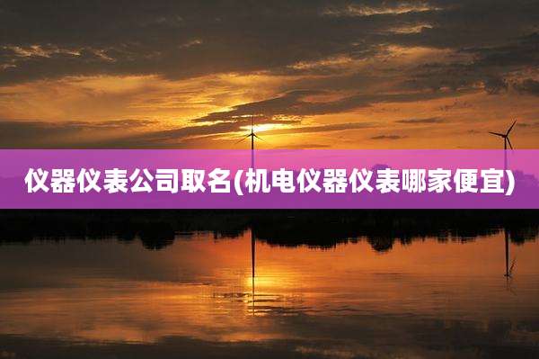 仪器仪表公司取名(机电仪器仪表哪家便宜)