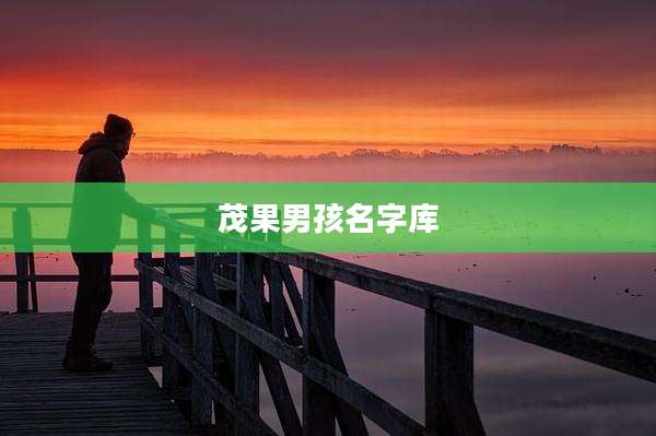 茂果男孩名字库