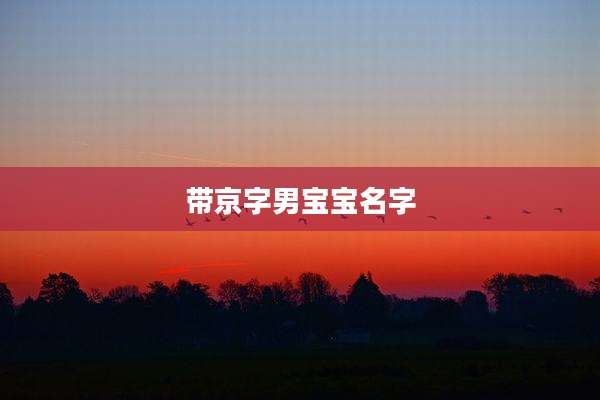 带京字男宝宝名字