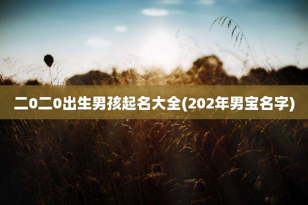 二0二0出生男孩起名大全(202年男宝名字)
